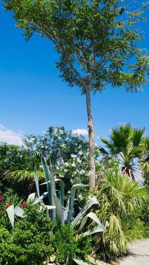 Cortijo Paraiso Charcon Higuera Екстер'єр фото