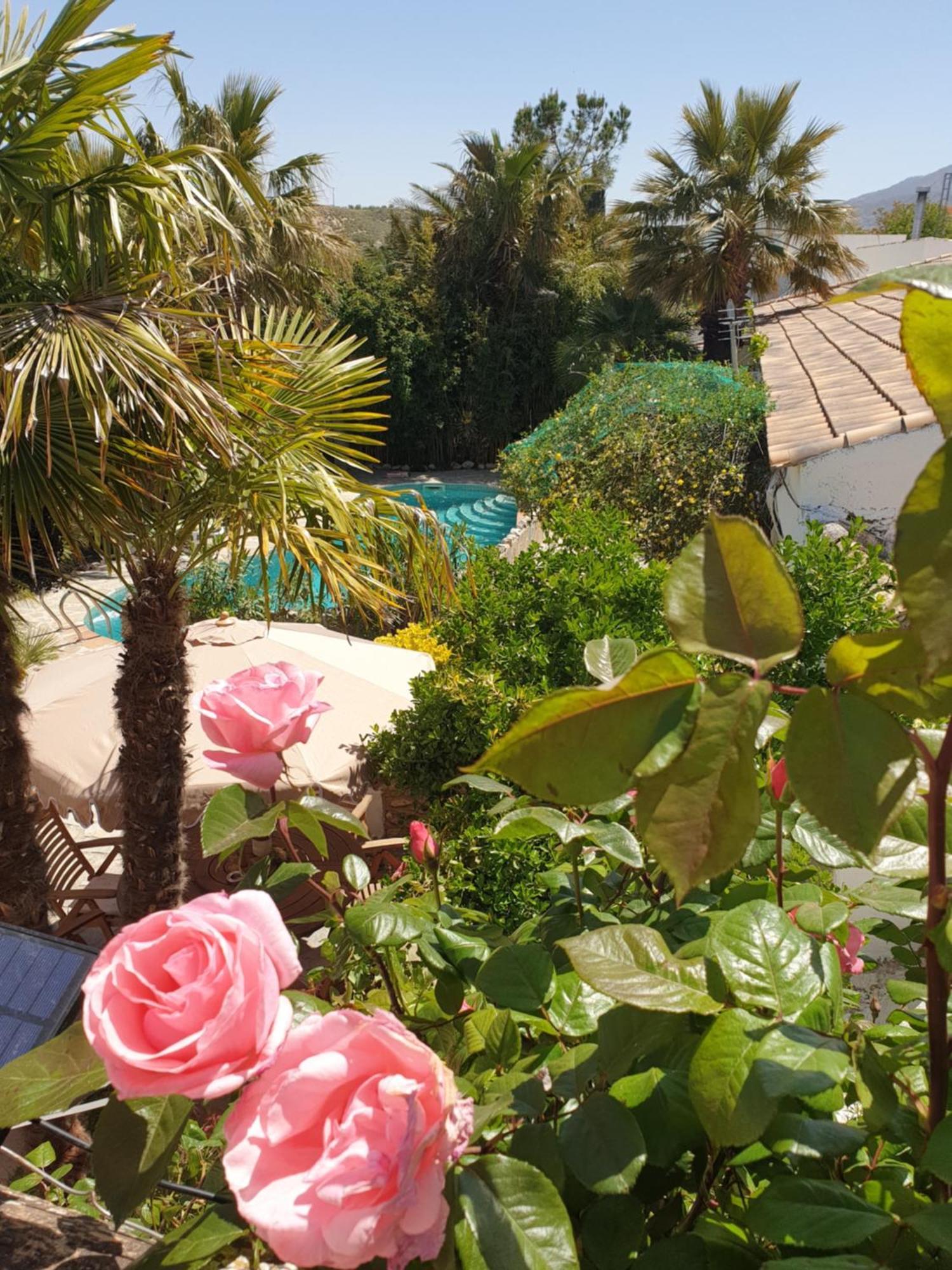 Cortijo Paraiso Charcon Higuera Екстер'єр фото